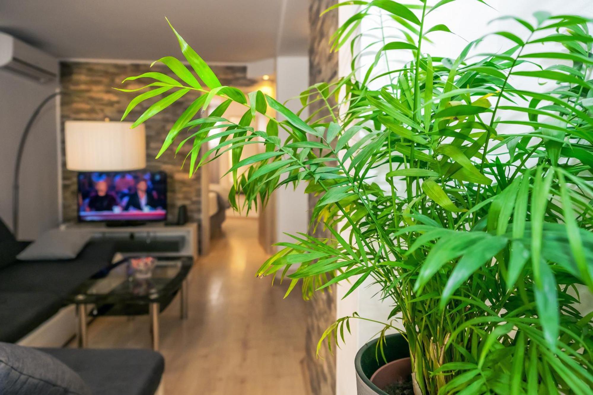 Relaxing 2Bd Apartment, Ground Floor - Walk To Old Town Spalato Esterno foto